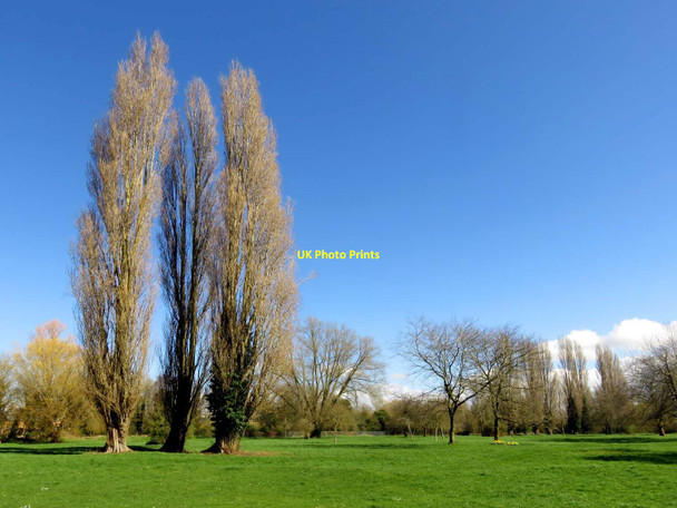 Photo 6"x4" Abbey Meadows in Abingdon Abingdon c2017