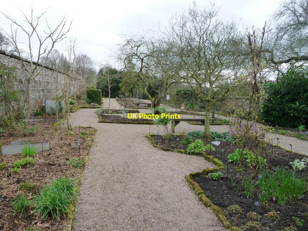 Photo 6"x4" Herb garden, Acorn Bank Newbiggin\/NY6228 c2017