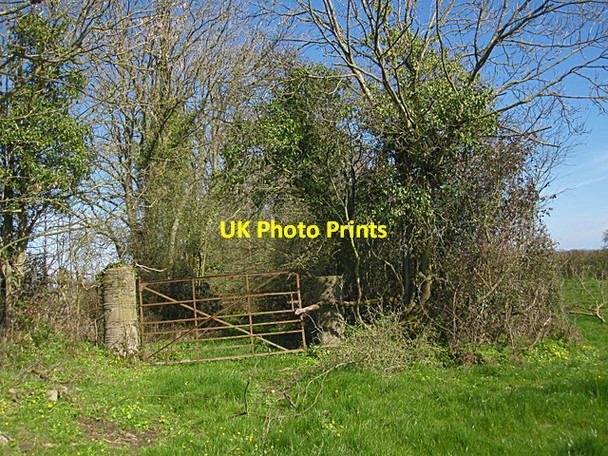 Photo 6"x4" Old Gate and Lane Kilkenny\/S5156 c2017
