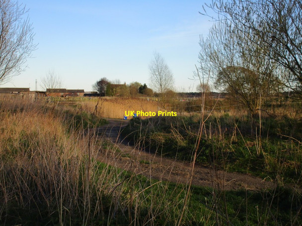 Photo 6"x4" Langwith Lakes and Langwith House Crockey Hill c2017