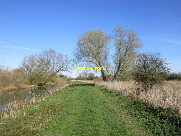 Photo 6"x4" The Pocklington Canal East Cottingwith c2017 P1