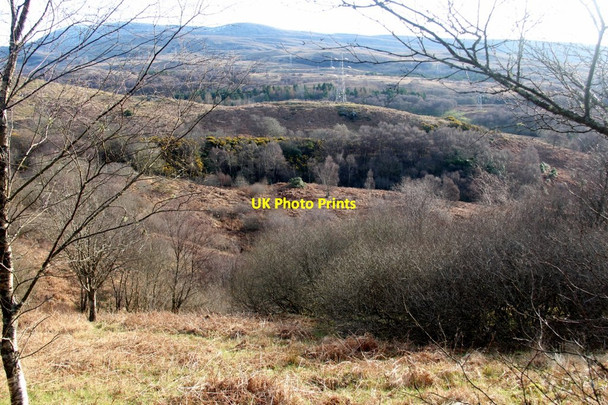 Photo 6"x4" Scrubby woodland at Whistlefield view point Whistlefield\/NS2392 c2017