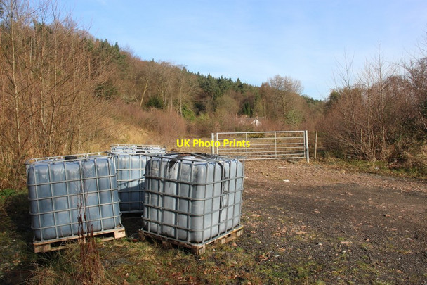 Photo 6"x4" Forest access at Mambeg Faslane Port c2017