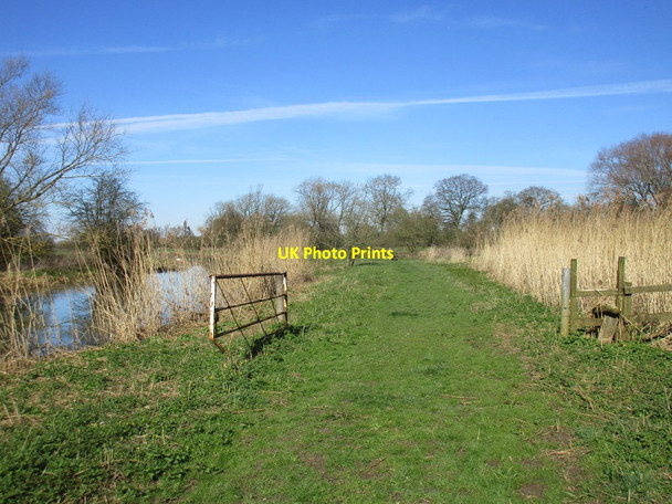 Photo 6"x4" Gates by the Pocklington Canal East Cottingwith c2017