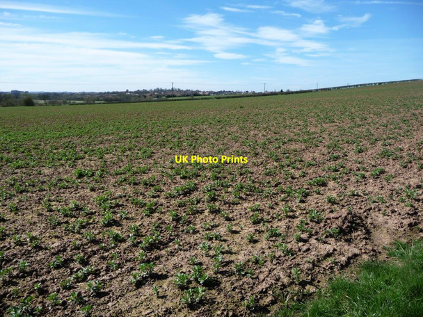Photo 6"x4" Large arable field, east of Ashlands Farm Tamworth c2017