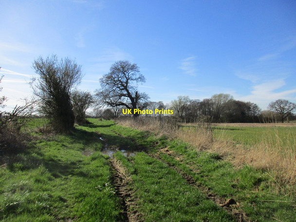 Photo 6"x4" Beyond Hag Lane East Cottingwith c2017