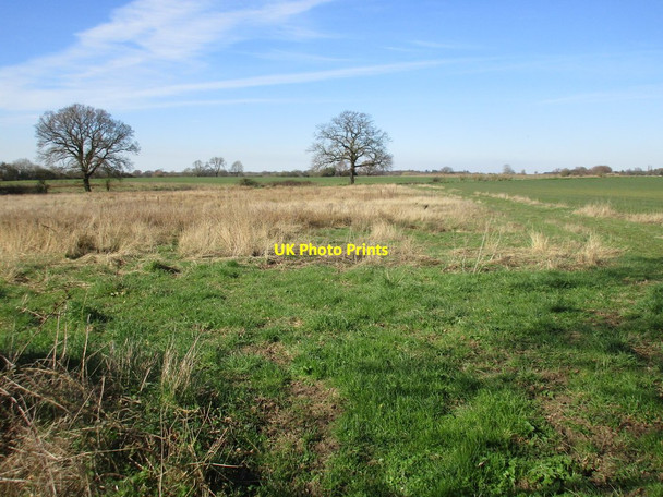 Photo 6"x4" Uncultivated field East Cottingwith c2017