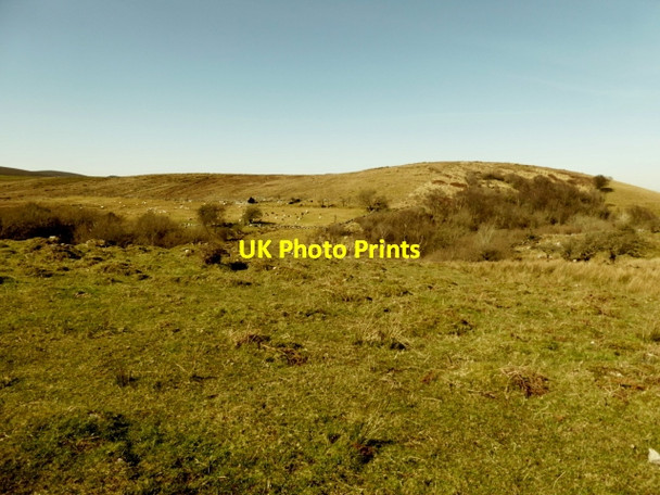 Photo 6"x4" Legnabrocky Townland Moneygashel c2017