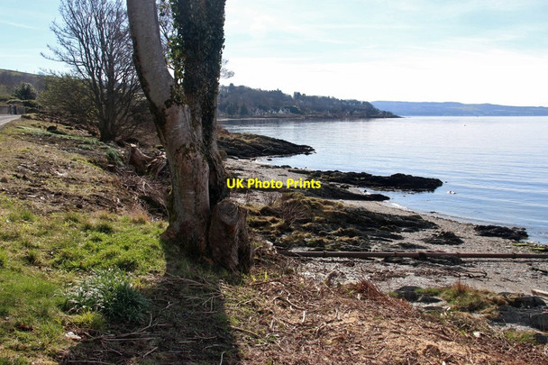 Photo 6"x4" Shoreline trees near Cove Bay Cove\/NS2282 c2017
