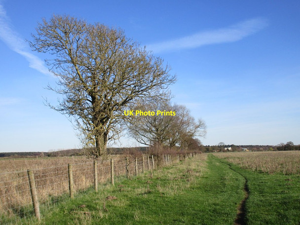 Photo 6"x4" Bridleway and Heslington Tillmire Crockey Hill c2017