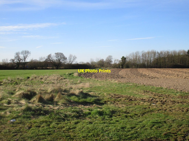 Photo 6"x4" Truncated bridleway Crockey Hill c2017