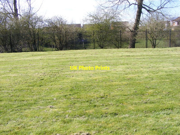 Photo 6"x4" Cemetery Grass Coseley c2017