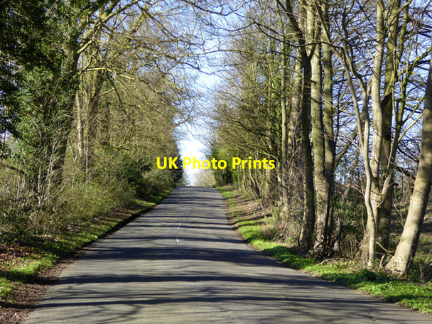 Photo 6"x4" Windmill Hill Cranhill\/SP1253 c2017