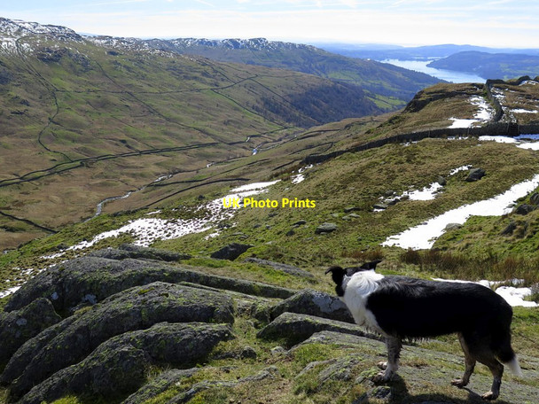 Photo 6"x4" Rocky ridge above Low Pike Rydal c2017