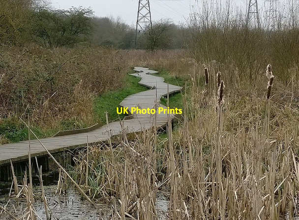 Photo 6"x4" Boardwalk next to the River Biam on the Aylestone Meadows Leicester c2017