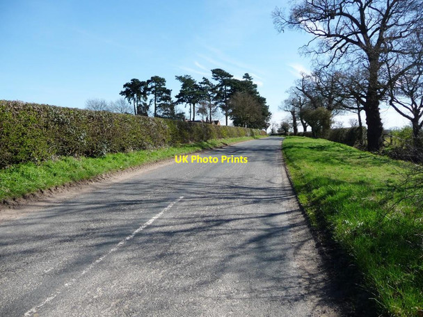 Photo 6"x4" Clifton Lane Thorpe Constantine c2017