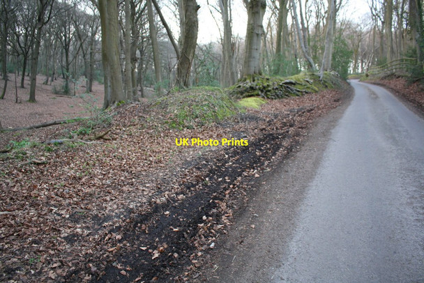 Photo 6"x4" Junction of earth banks beside Busgrove Lane in Basset Wood Checkendon c2017