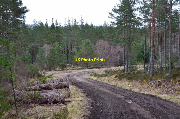 Photo 6"x4" Forest road from Tummel Bridge Dalriach\/NN7459 c2017