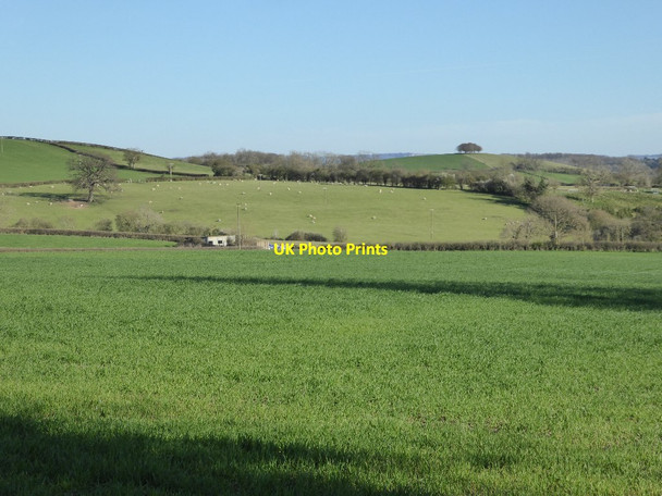 Photo 6"x4" View to Barrow Hill Wickridge Street c2017