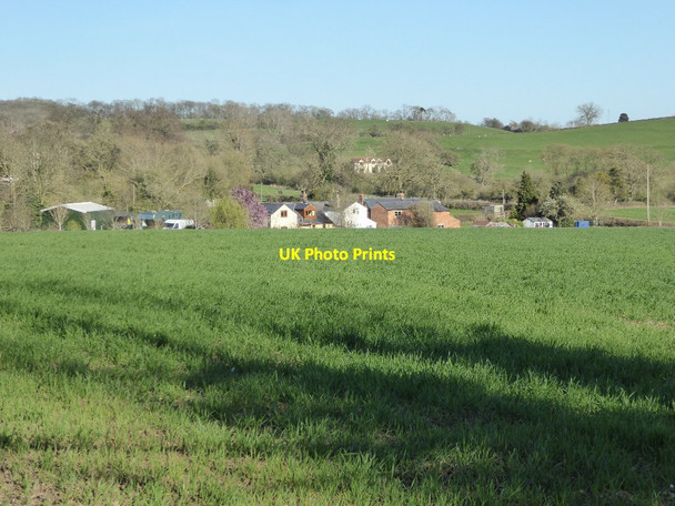 Photo 6"x4" Houses below Corse Wood Hill Wickridge Street c2017