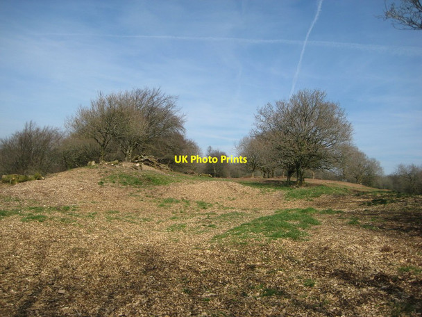 Photo 6"x4" Humps, lumps and ridges Lower Cheriton c2017