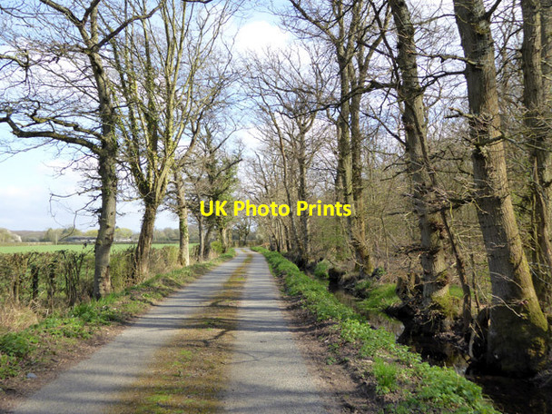 Photo 6"x4" Swanton Lane Stone Cross\/TR0236 c2017