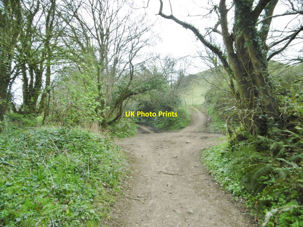 Photo 6"x4" Symondsbury, Quarry Cross Miles Cross c2017