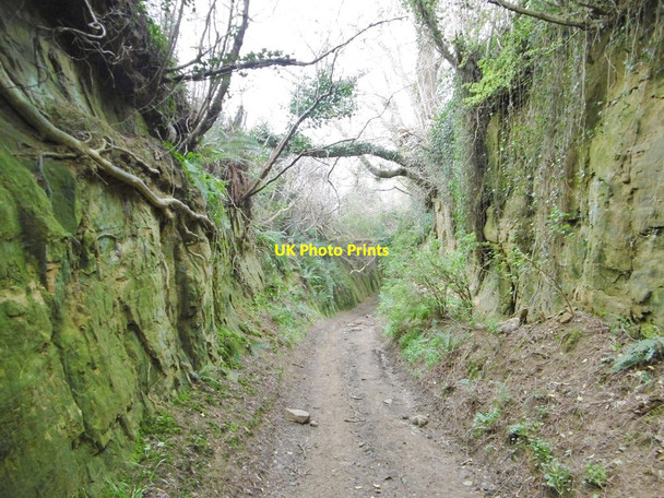 Photo 6"x4" Symondsbury, Hell Lane Miles Cross c2017