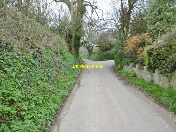 Photo 6"x4" North Chideock, Hounsells Cross North Chideock c2017