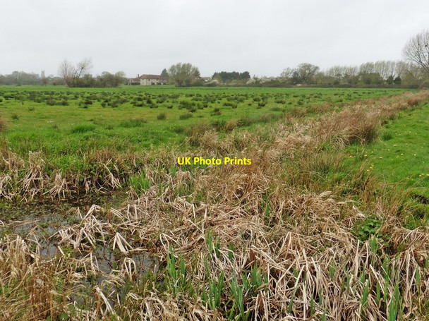 Photo 6"x4" View towards Shride Farm Beer\/ST4031 c2017