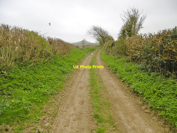 Photo 6"x4" Symondsbury, farm track Moorbath c2017