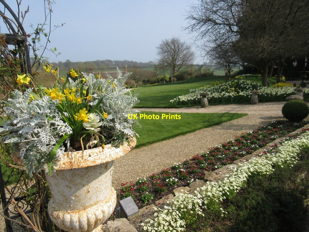 Photo 6"x4" The garden at Summer Lodge Evershot c2017