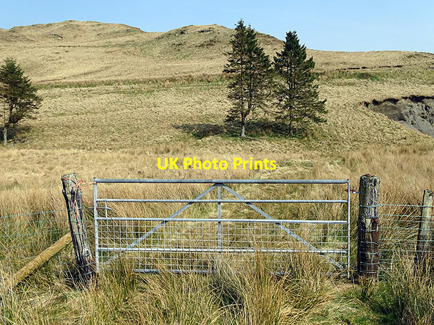 Photo 6"x4" Gate on the path to Anglers' Retreat New Pool\/SN7492 c2017