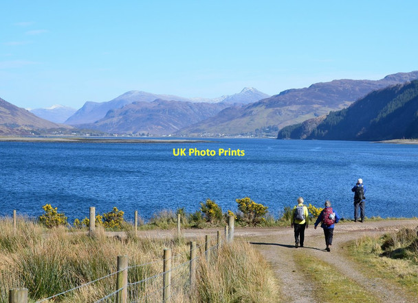 Photo 6"x4" Loch Alsh from Ardintoul Point Ardintoul c2017