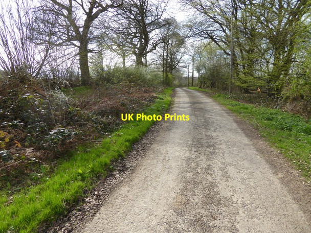 Photo 6"x4" Temple Lane looking west to bend Clark's Green c2017