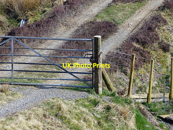 Photo 6"x4" Locked gate into the Hafodwnog forestry Llyn Penrhaeadr c2017