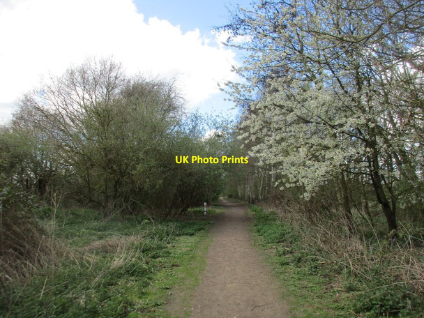 Photo 6"x4" Course of former railway, Barlow Common Barlow\/SE6428 c2017
