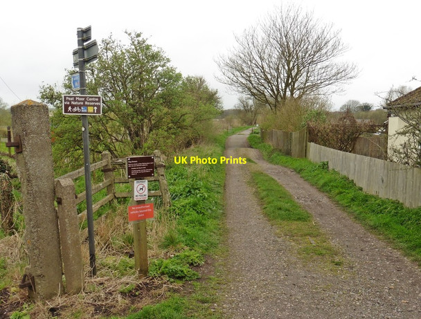Photo 6"x4" Trackbed of former S&D rail line to Highbridge Beckery c2017