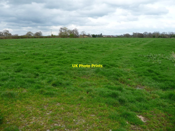 Photo 6"x4" Dairy farmland, east side of Byley Lane Puddinglake c2017