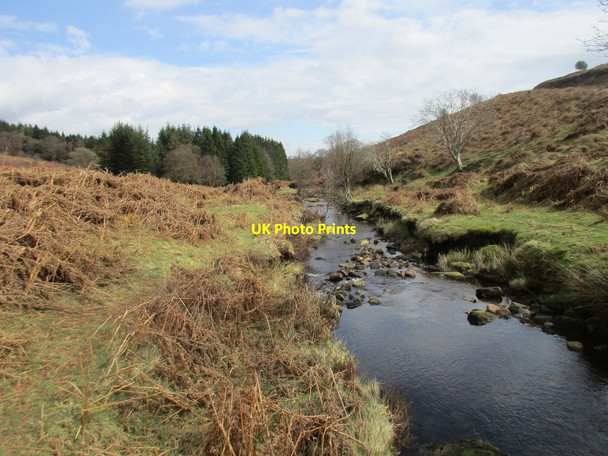 Photo 6"x4" Wheeldale Gill Goathland c2017