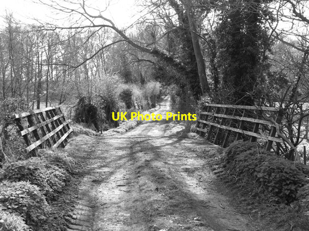 Photo 6"x4" View towards Longacre Plantation Stratton St Michael c2017