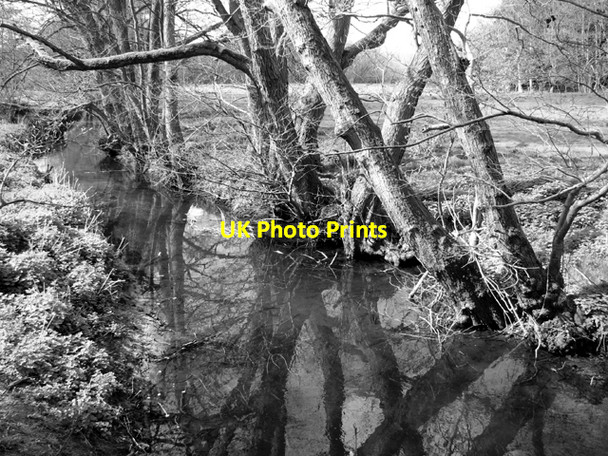 Photo 6"x4" Stream south of Cubitt's Hill Wood Stratton St Michael c2017