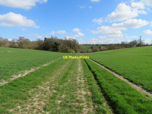 Photo 6"x4" Bridleway on Little Down Litchfield c2017