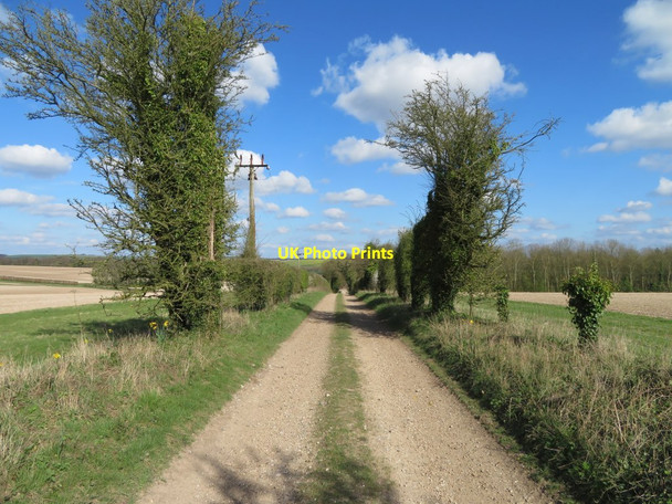 Photo 6"x4" Bridleway by Down Farm Litchfield c2017