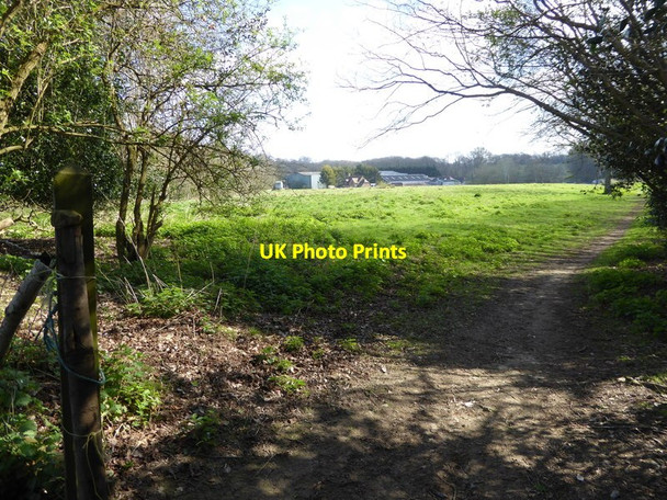 Photo 6"x4" Buildings at Burleigh Oaks Farm seen from footpath Crawley Down\/TQ3437 c2017