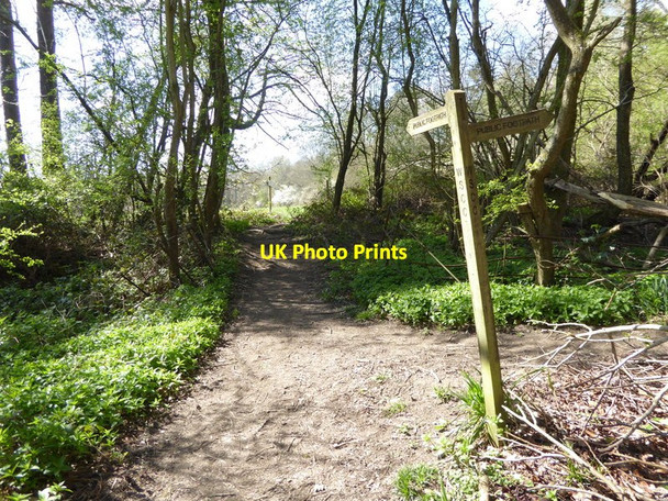 Photo 6"x4" Signpost where footpath leaves High Wood Charlwood\/TQ3934 c2017
