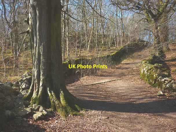 Photo 6"x4" The Occupation Road, Warton Crag Crag Foot c2017