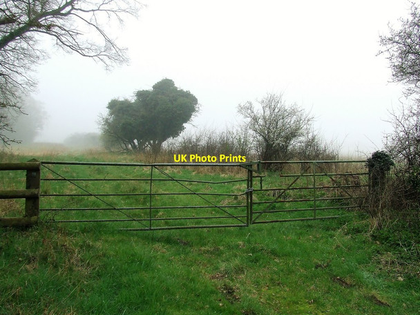 Photo 6"x4" Metal Gates Elveden c2017
