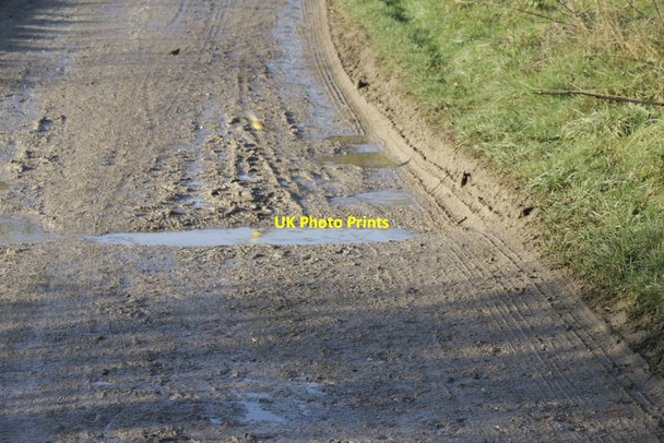 Photo 6"x4" Ice on the Puddle Aldworth c2017