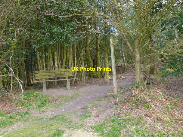Photo 6"x4" Seat by footpath on Selsfield Common Turners Hill c2017